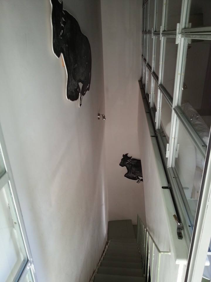 Via Dell Orso (11)